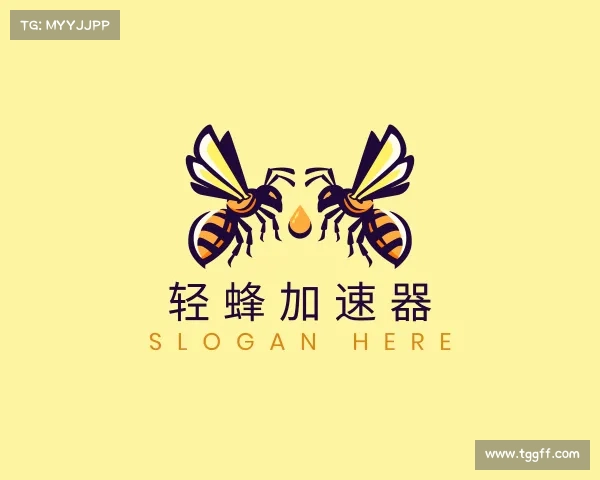 认识轻蜂加速器